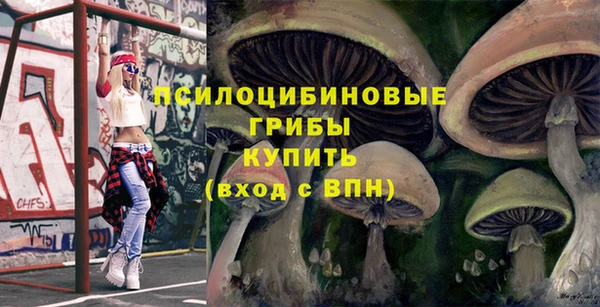 гидра Новозыбков