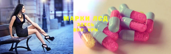 гидра Новозыбков