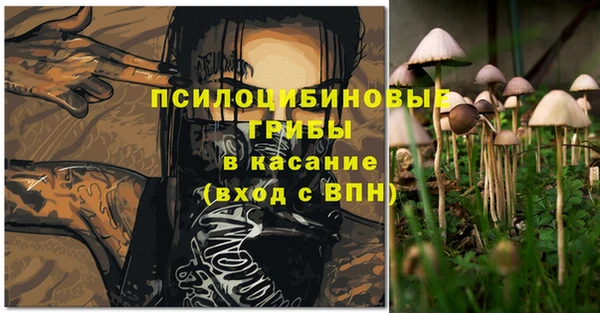 гидра Новозыбков
