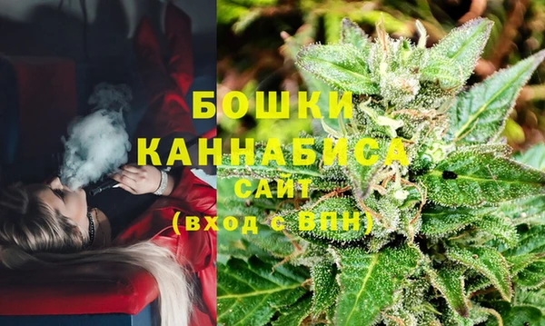 гидра Новозыбков