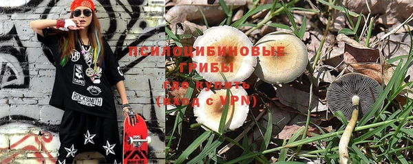 первитин Новодвинск